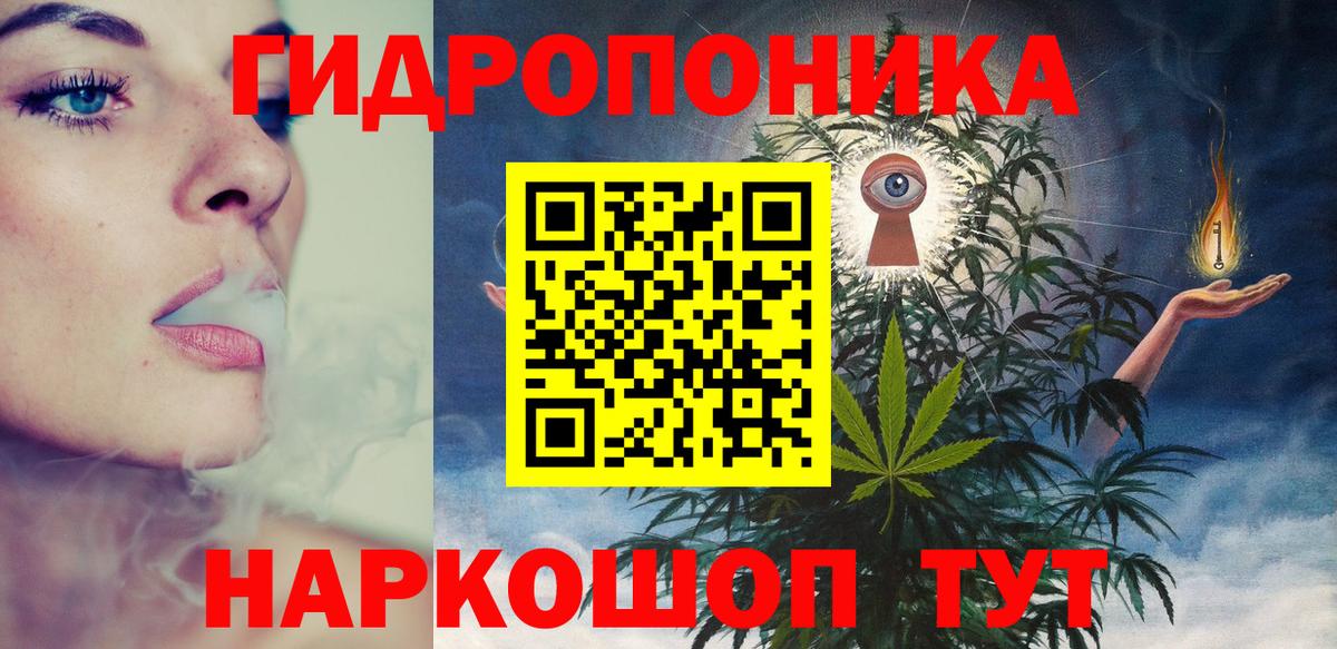 Кудрово  Бошки Шишки индика  Каннабис Bruce Banner  Вход с VPN  Бошки марихуана планчик  МАРИХУАНА Bruce Banner 